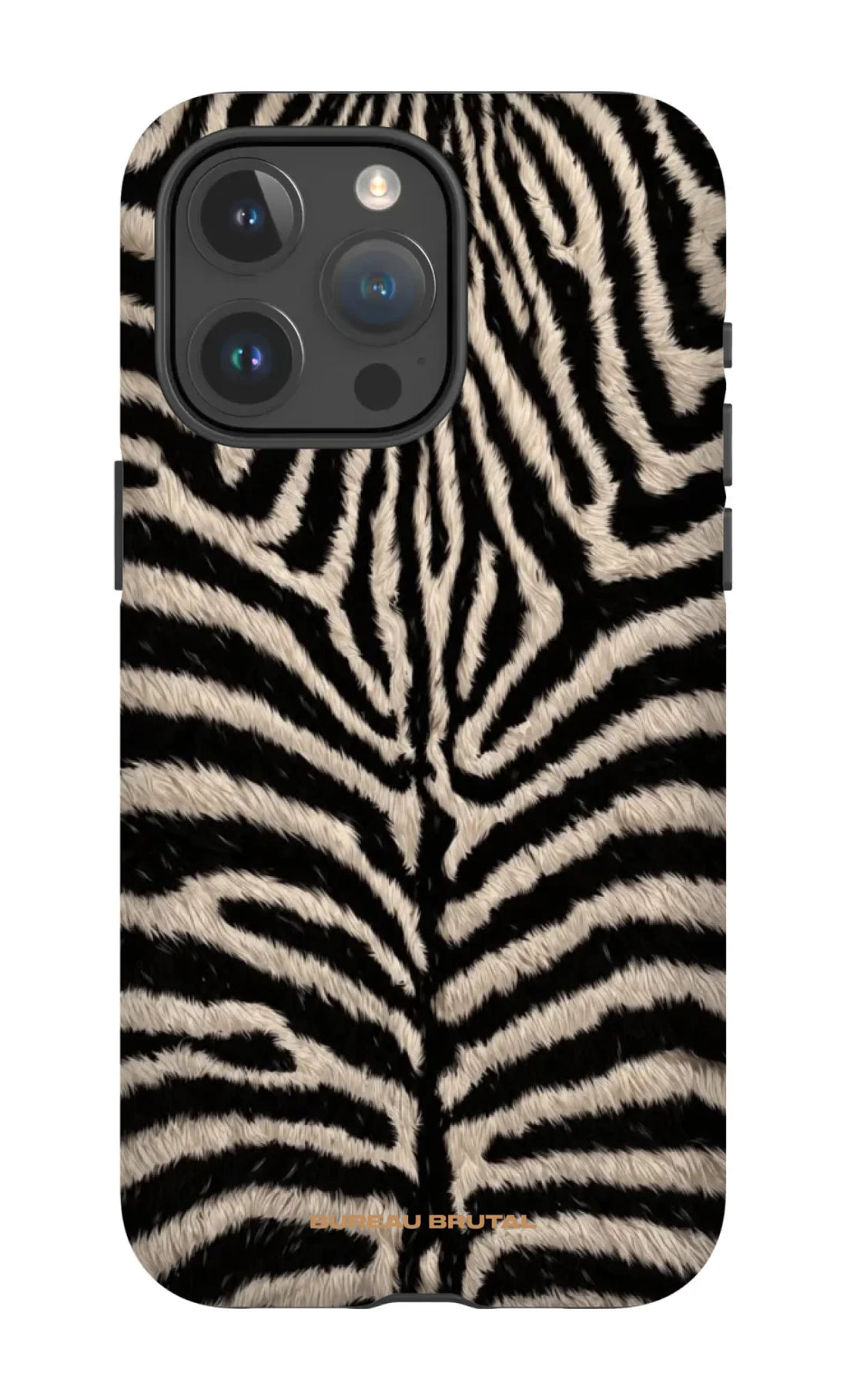 Namibian Zebra