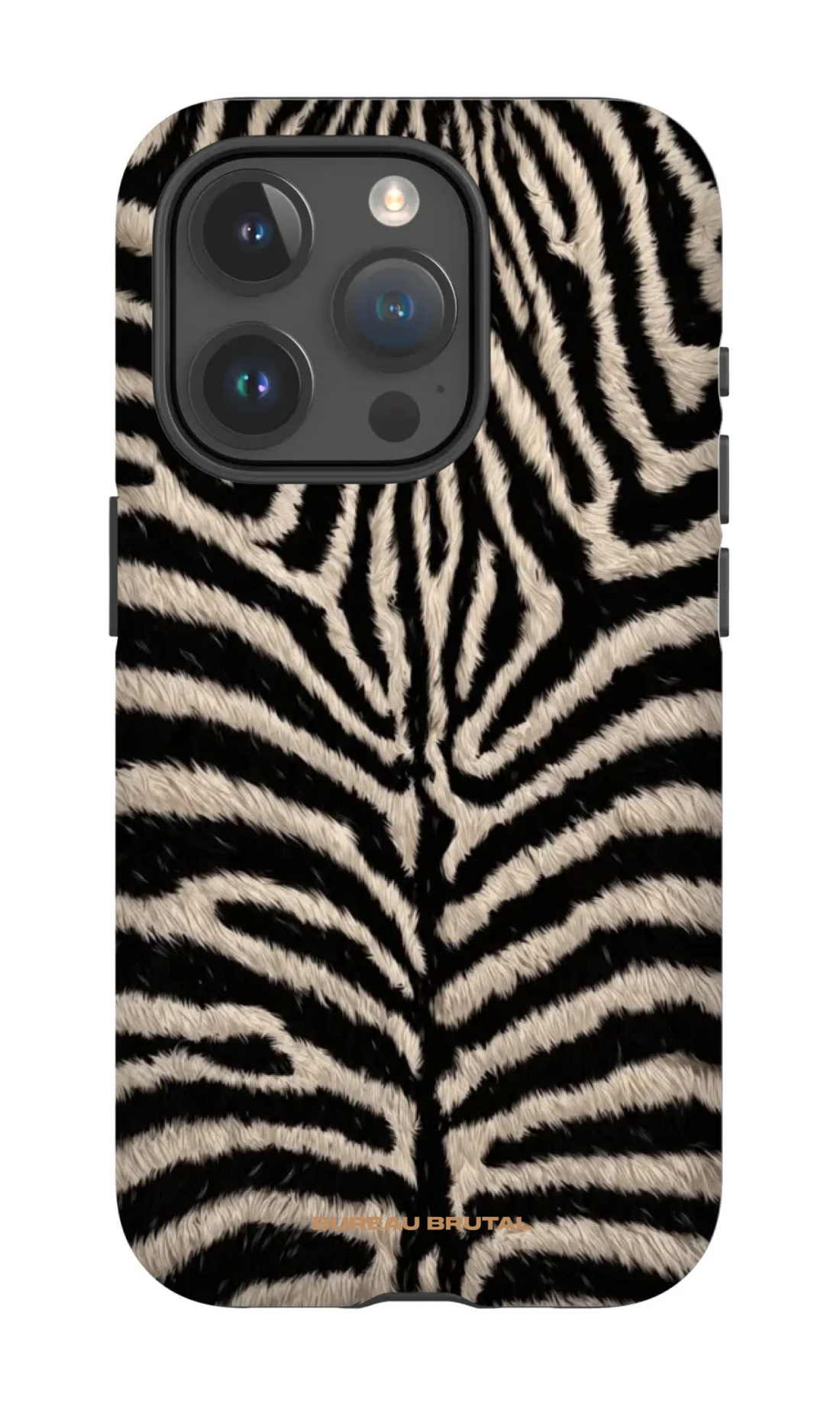 Personalized  Namibian Zebra iPhone Case