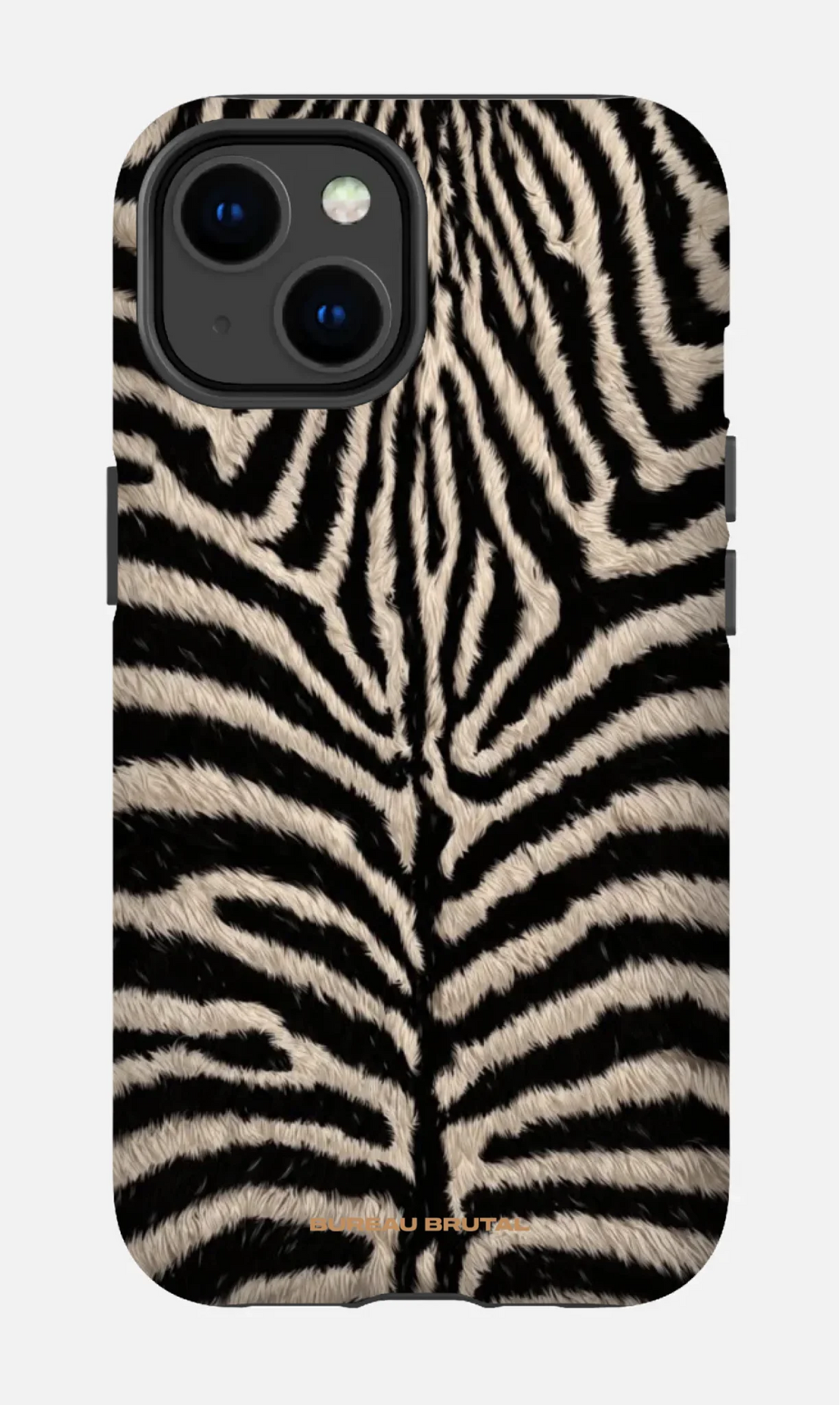 Personalized  Namibian Zebra iPhone Case