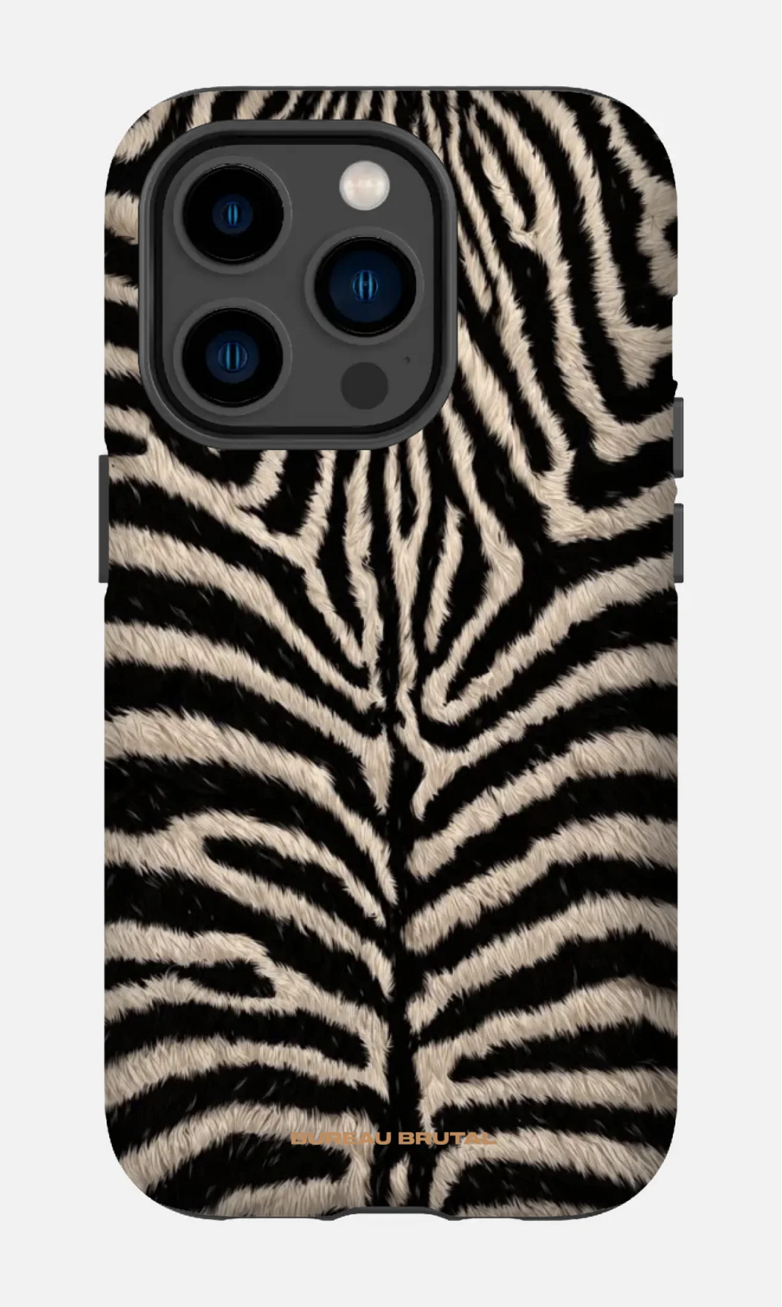 Personalized  Namibian Zebra iPhone Case
