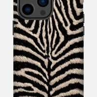 Namibian Zebra