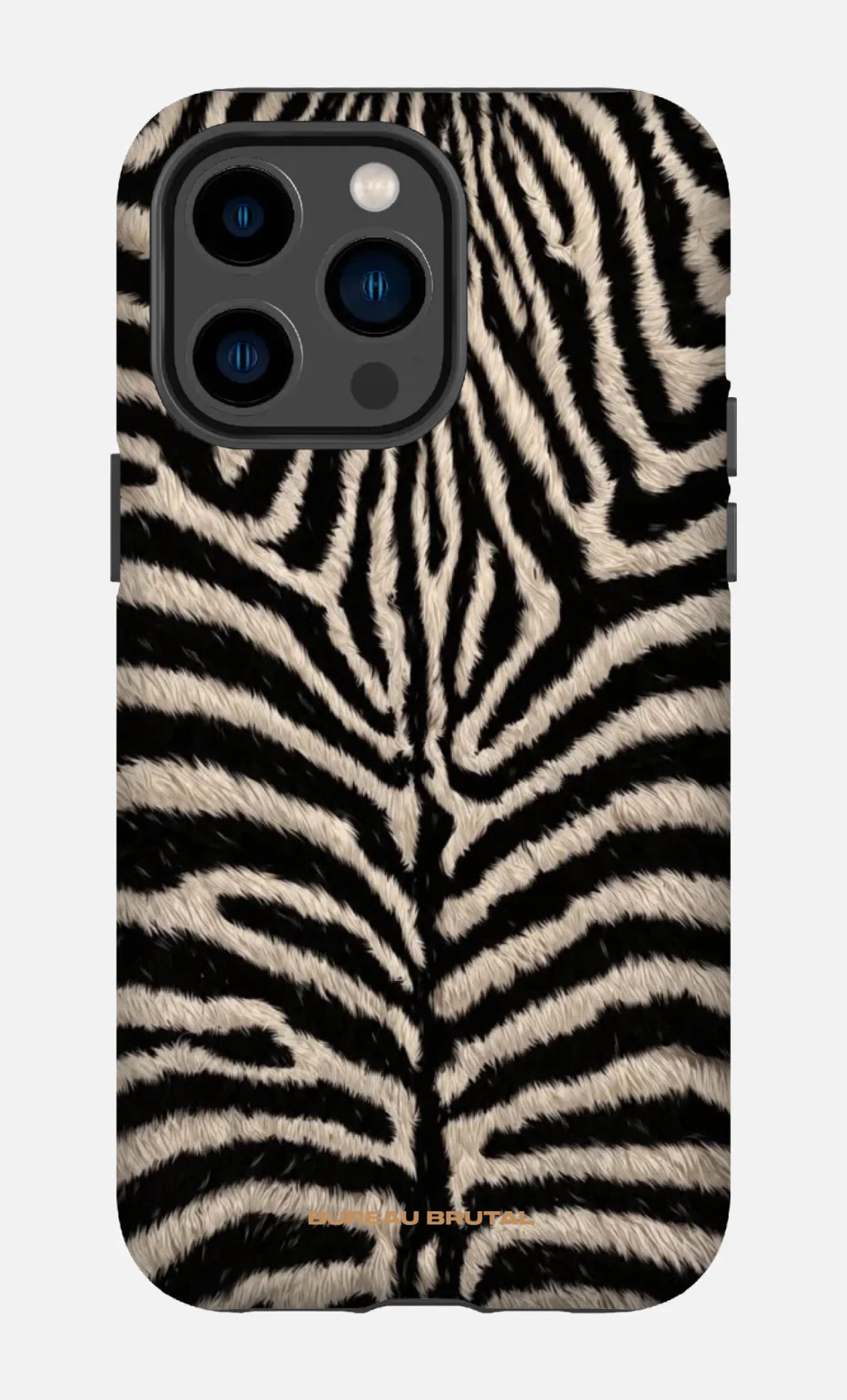 Personalized  Namibian Zebra iPhone Case