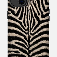 Namibian Zebra
