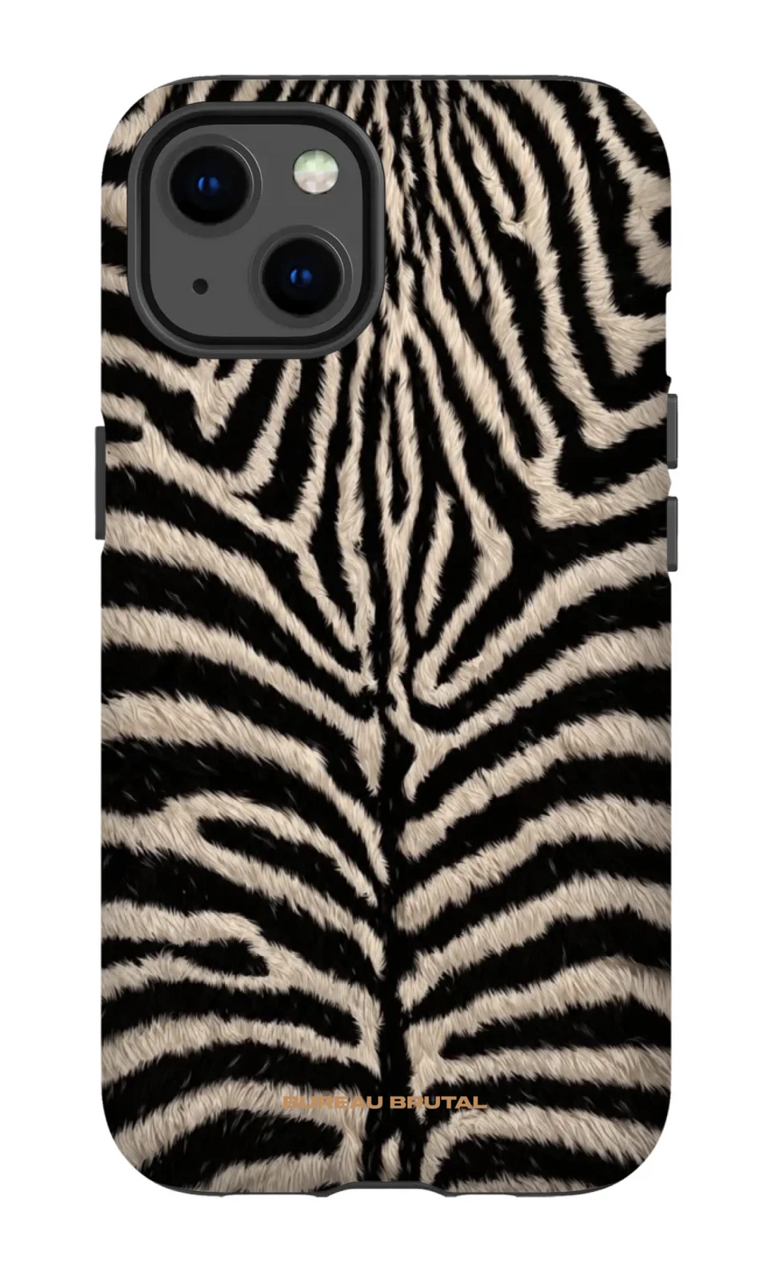 Personalized  Namibian Zebra iPhone Case