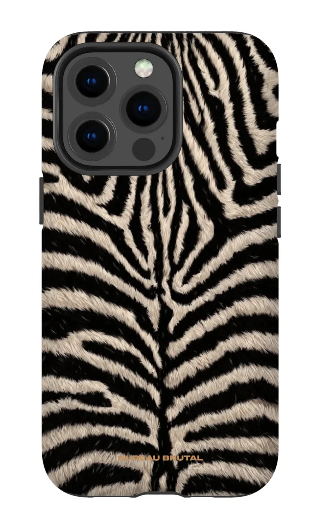 Personalized  Namibian Zebra iPhone Case