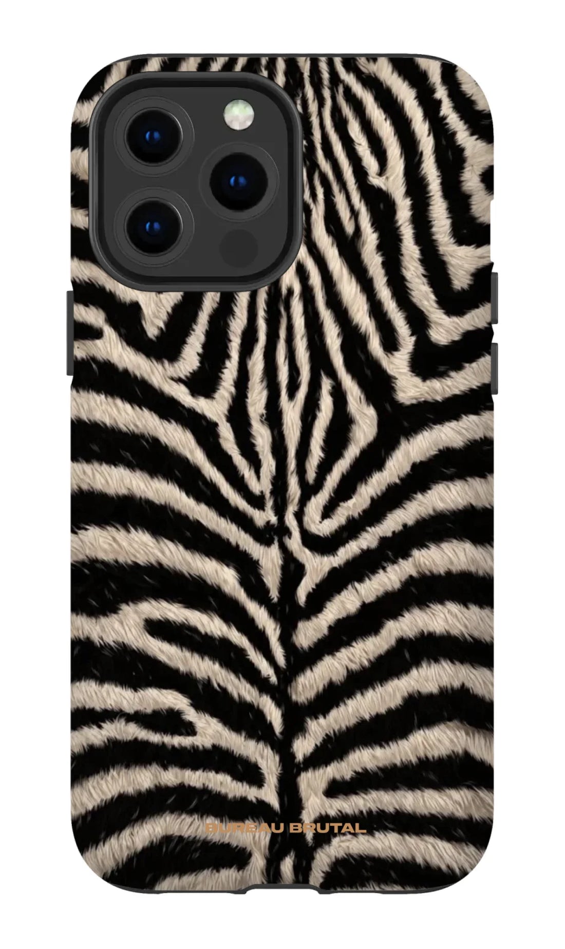 Personalized  Namibian Zebra iPhone Case