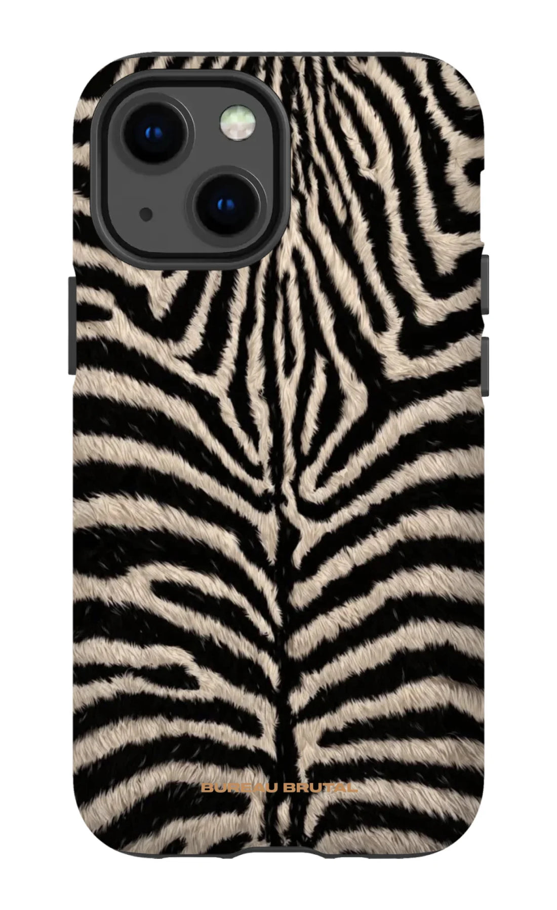 Personalized  Namibian Zebra iPhone Case