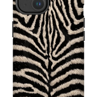 Namibian Zebra
