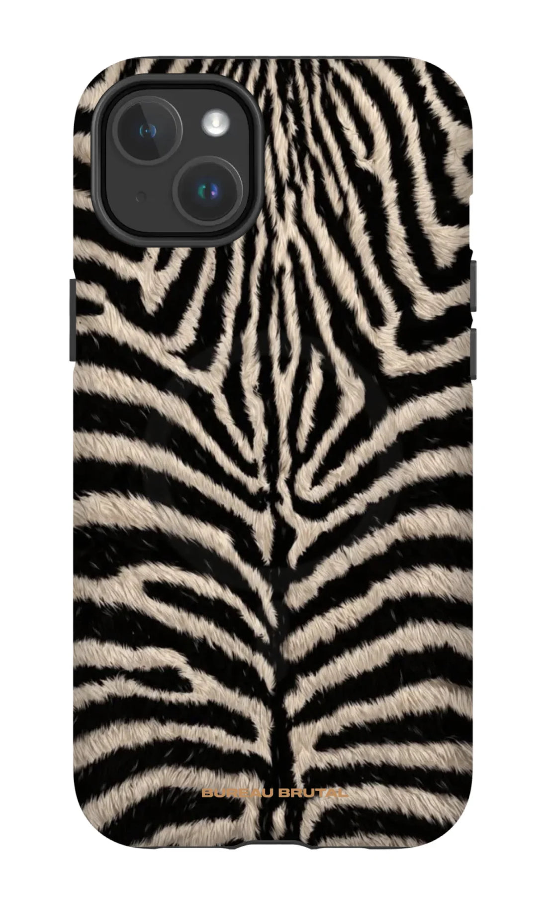 Namibian Zebra