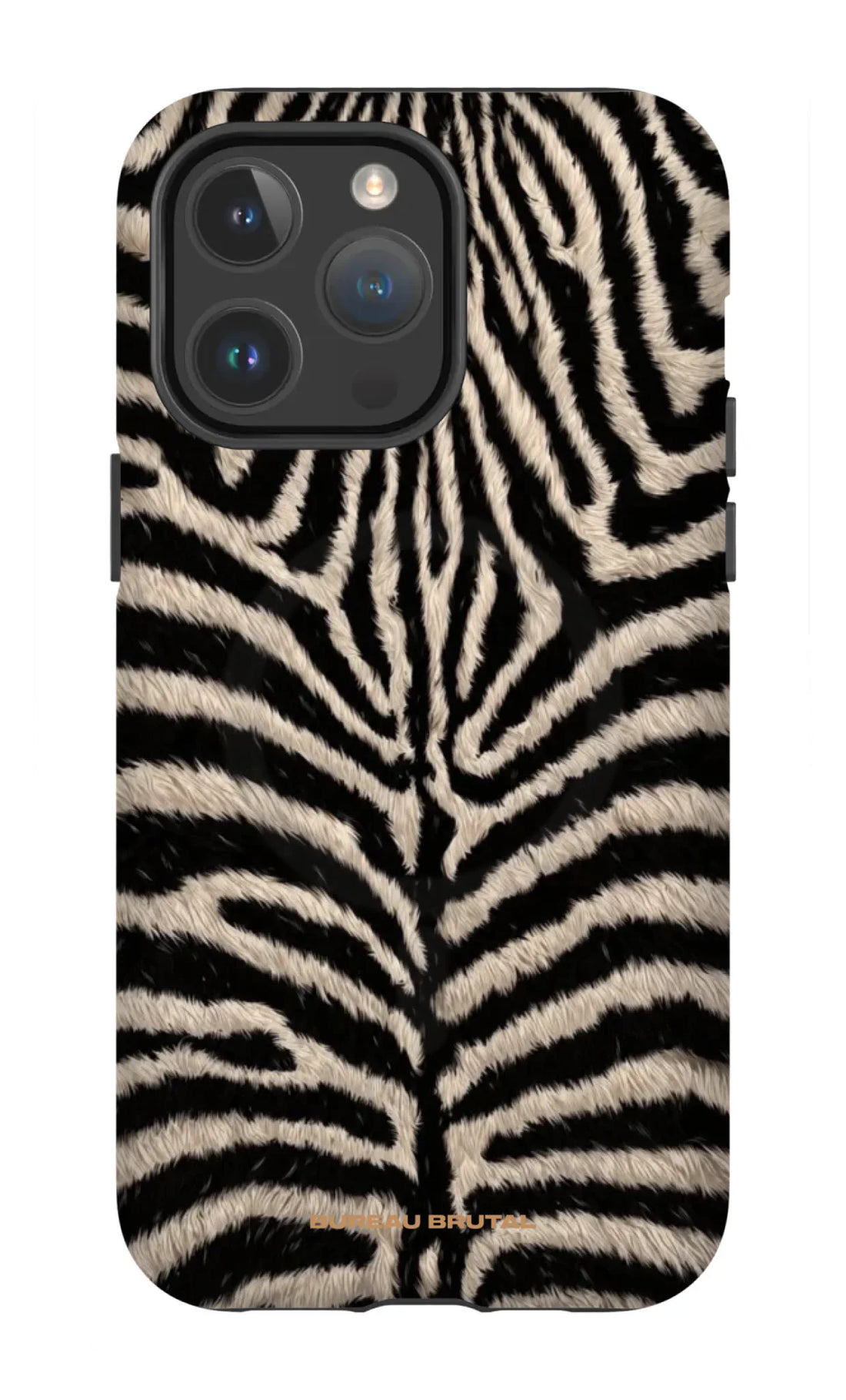 Personalized  Namibian Zebra iPhone Case
