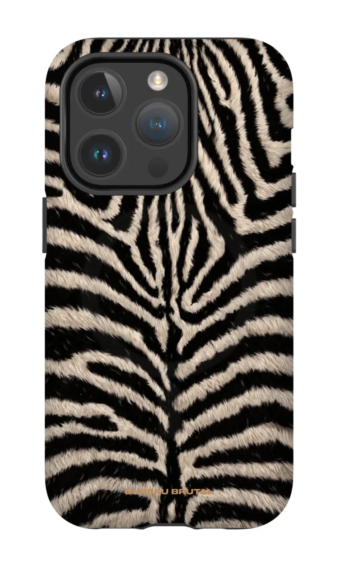 Personalized  Namibian Zebra iPhone Case