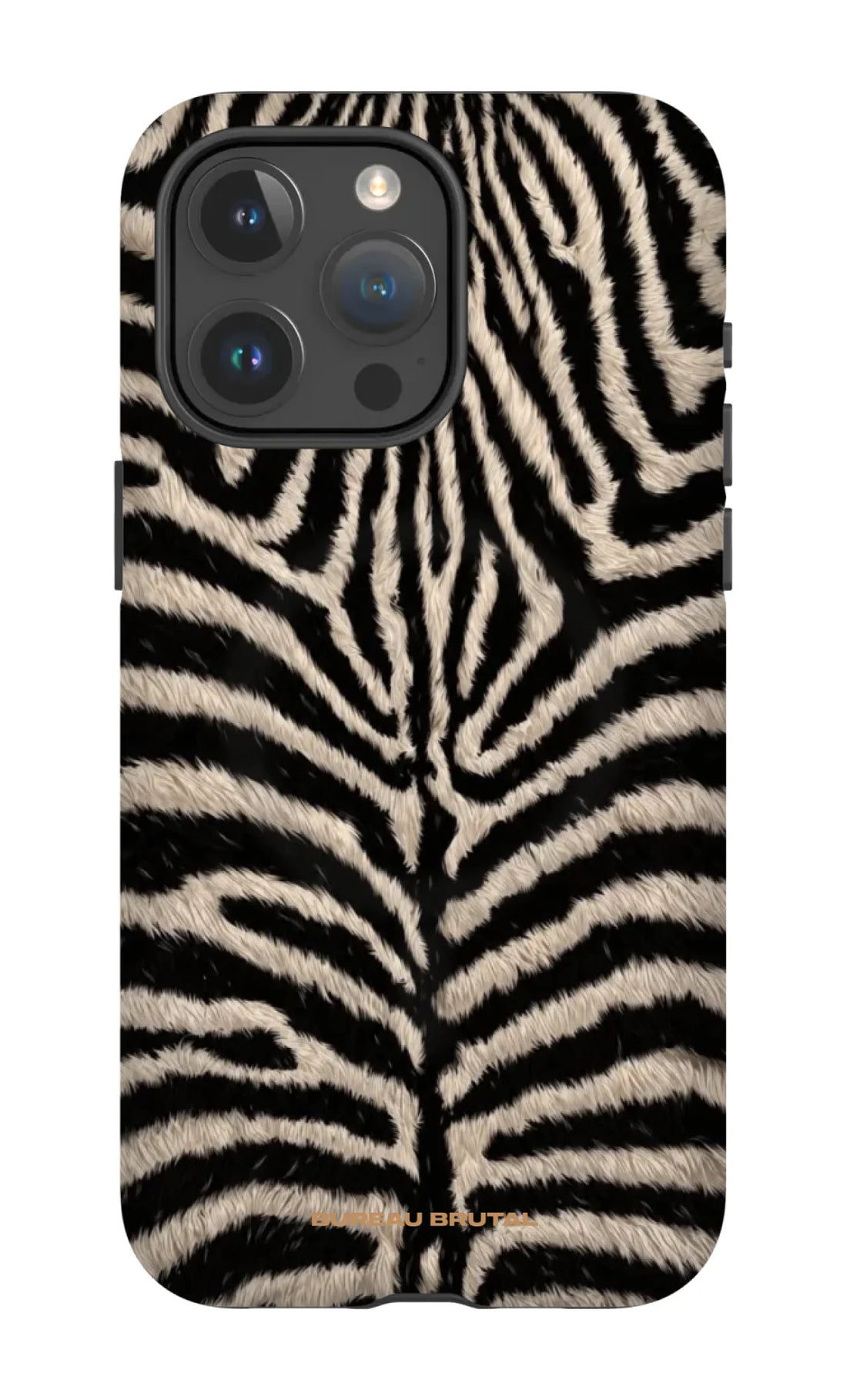 Namibian Zebra