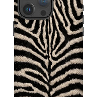 Namibian Zebra