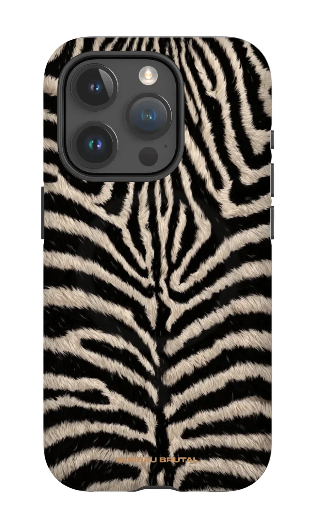 Personalized  Namibian Zebra iPhone Case