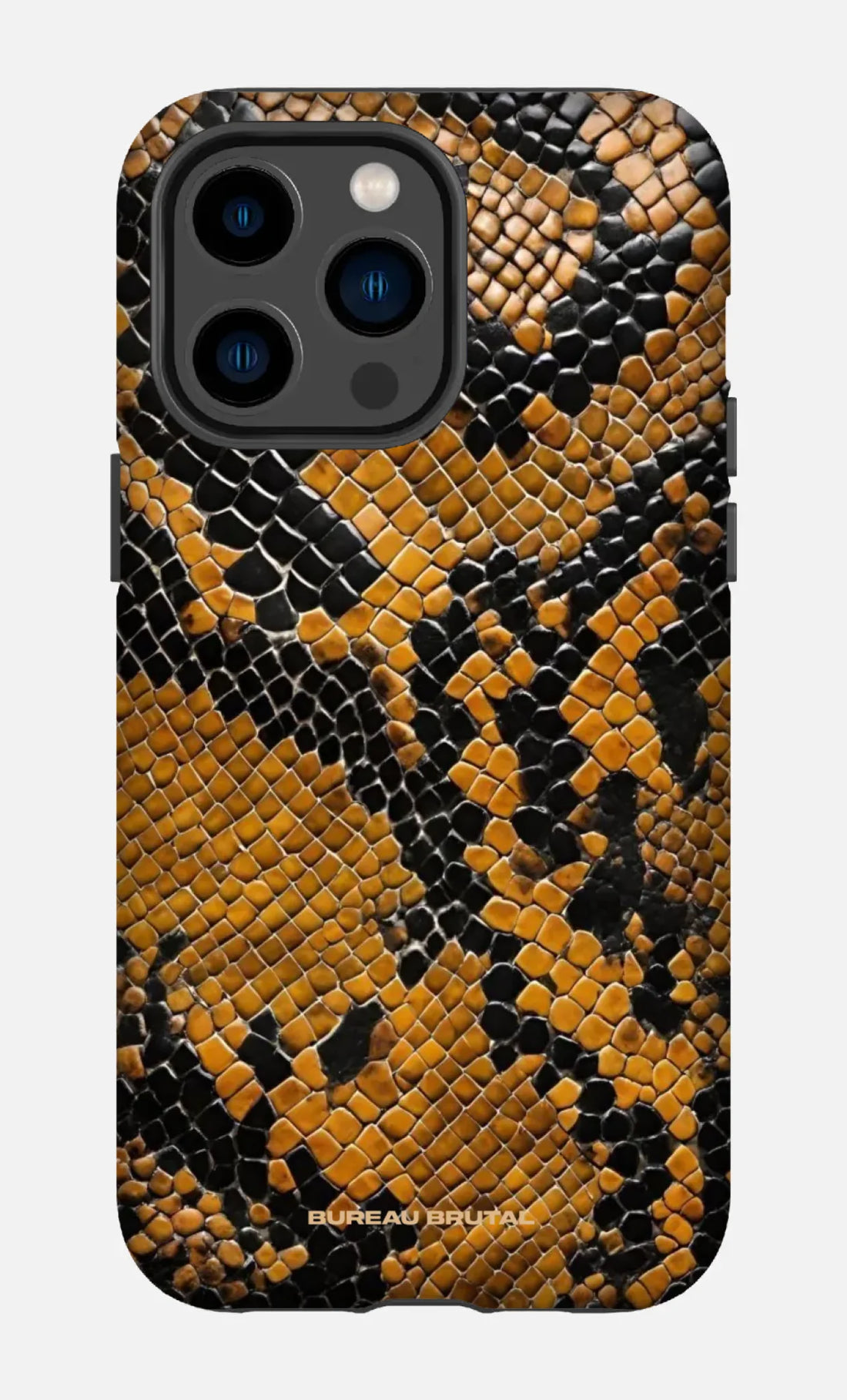 Personalized  Namibian Python iPhone Case