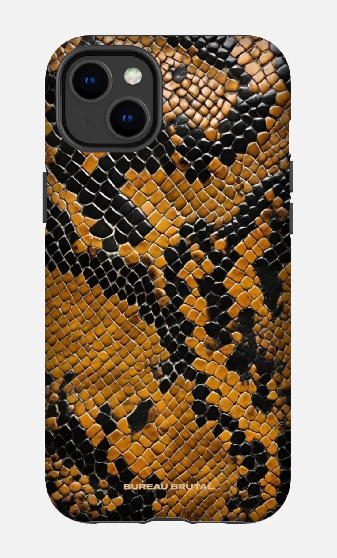 Namibian Python