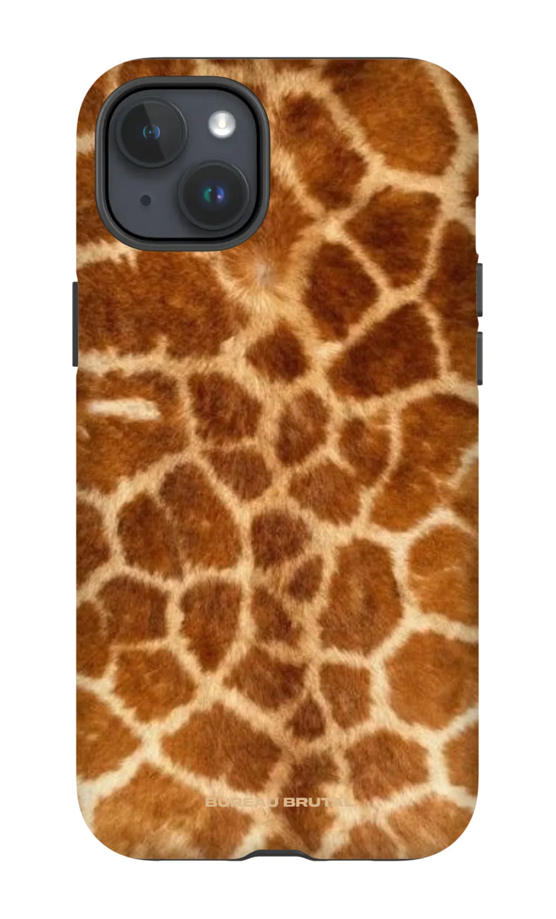 Namibian Giraffe