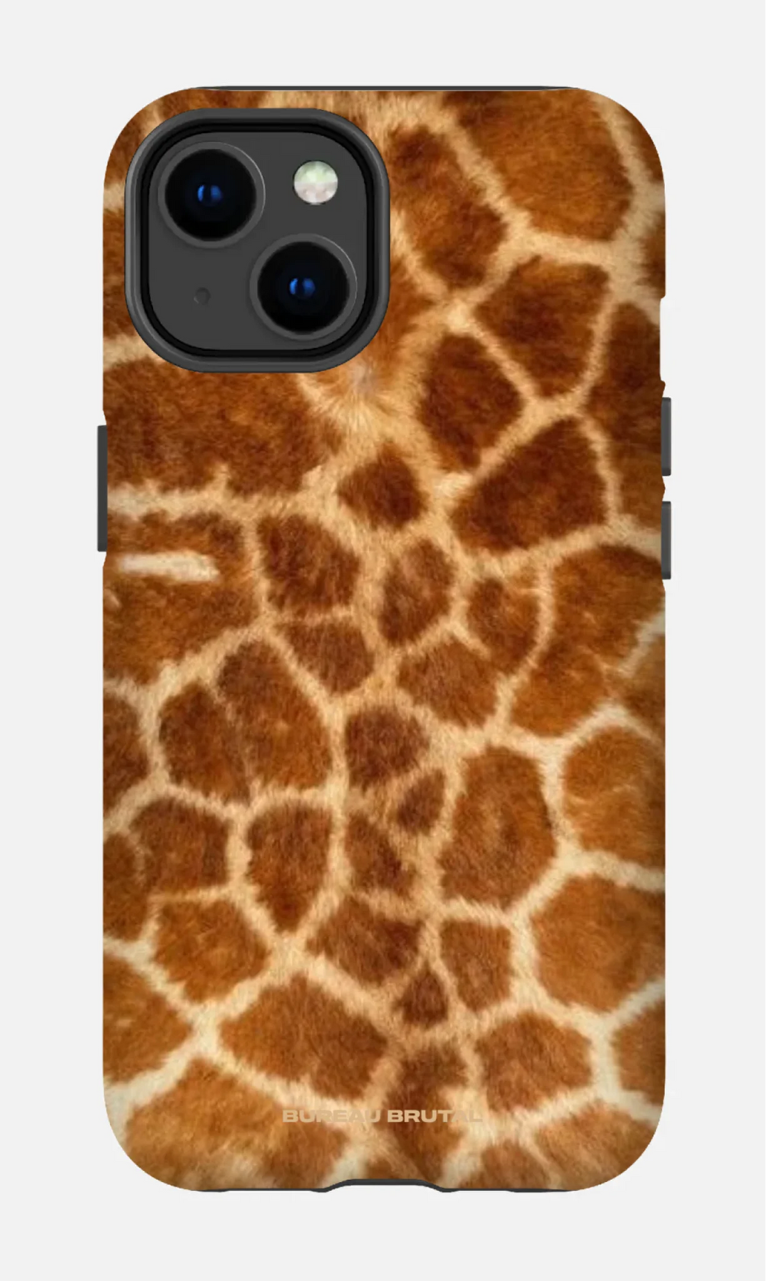 Namibian Giraffe