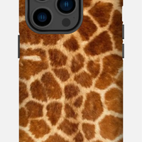 Namibian Giraffe