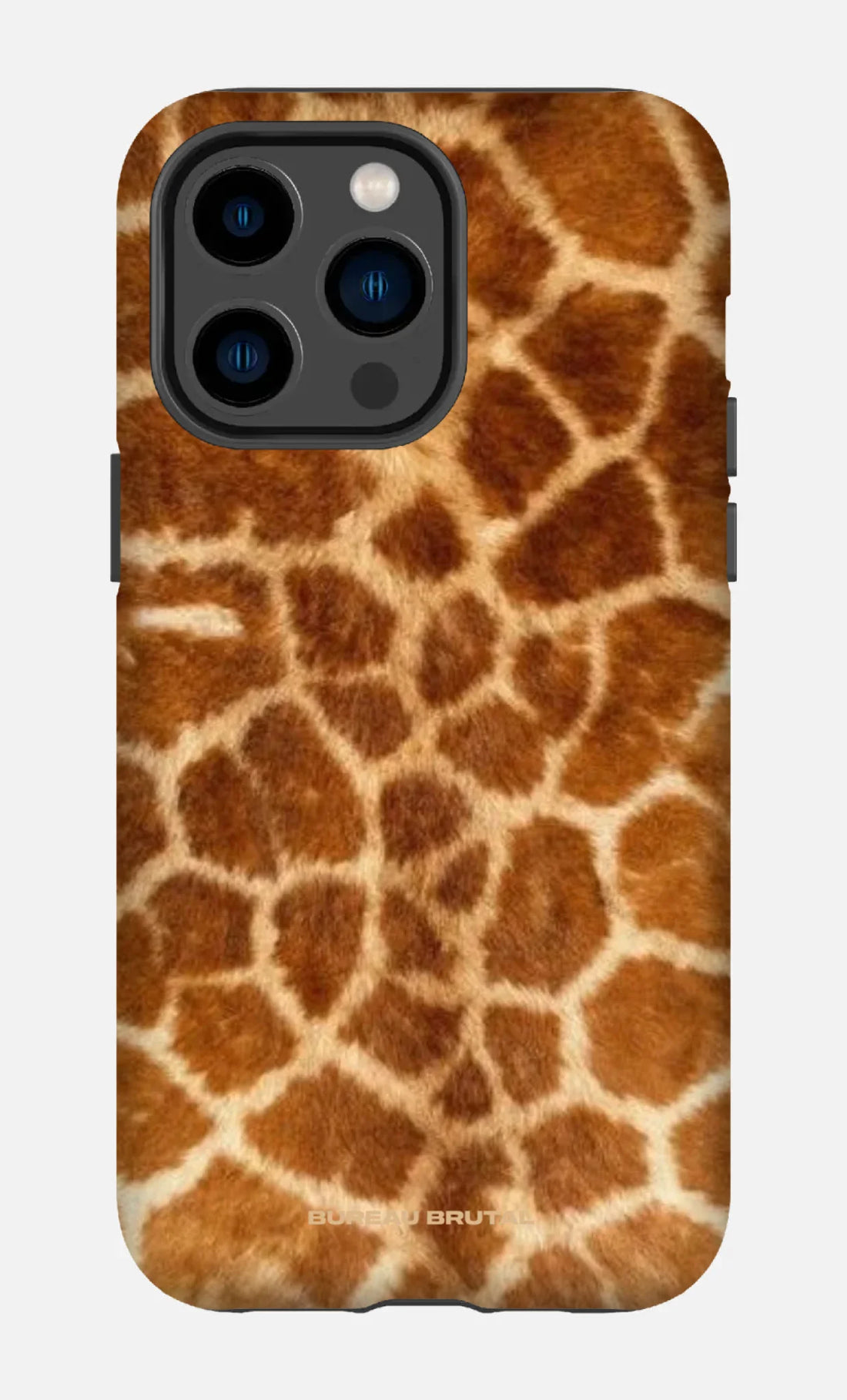 Namibian Giraffe