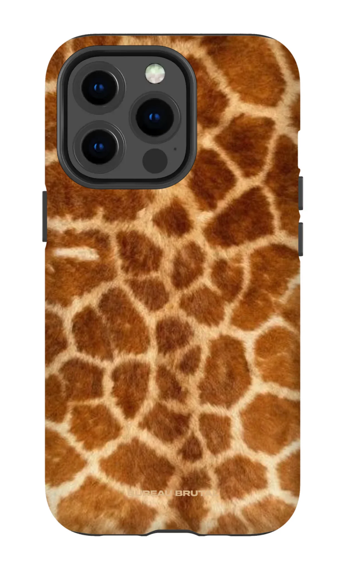 Namibian Giraffe