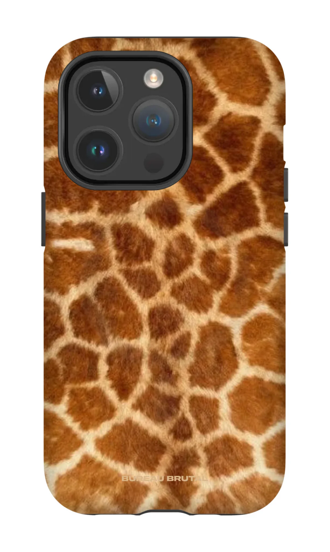Namibian Giraffe