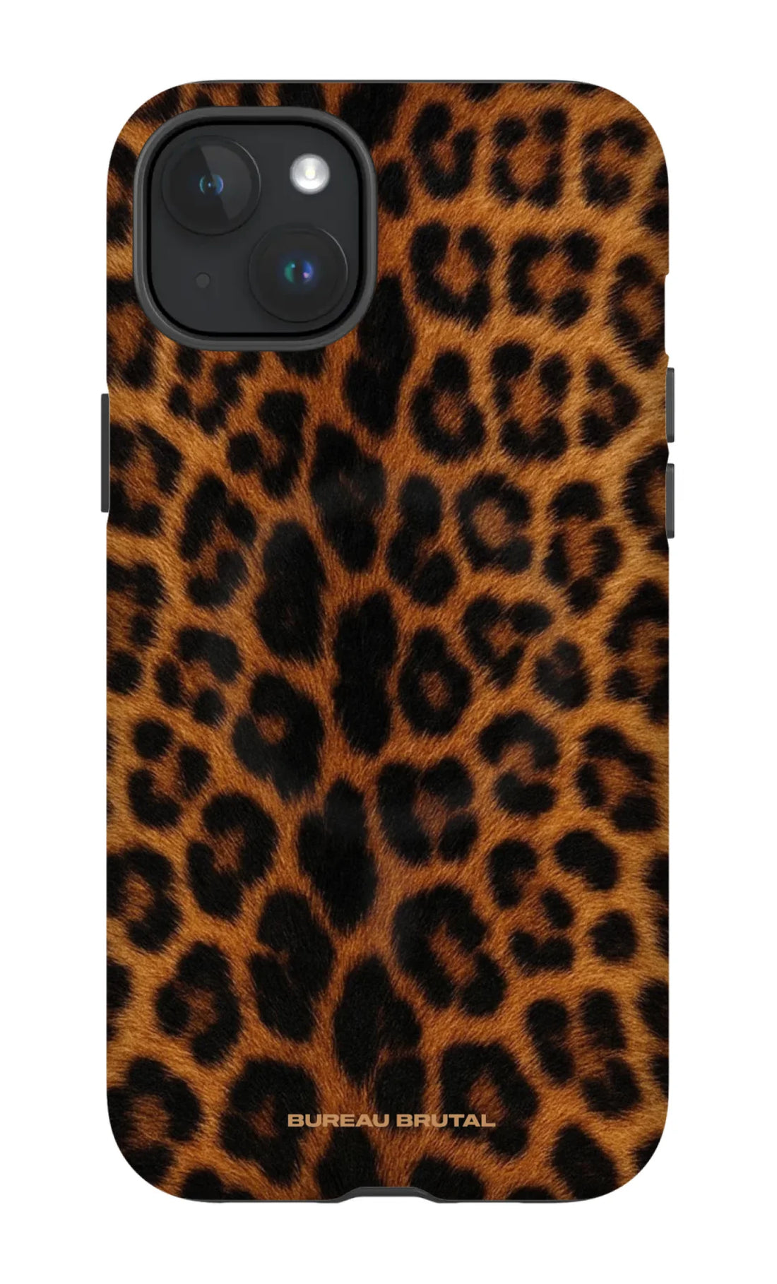 Namibian Leopard