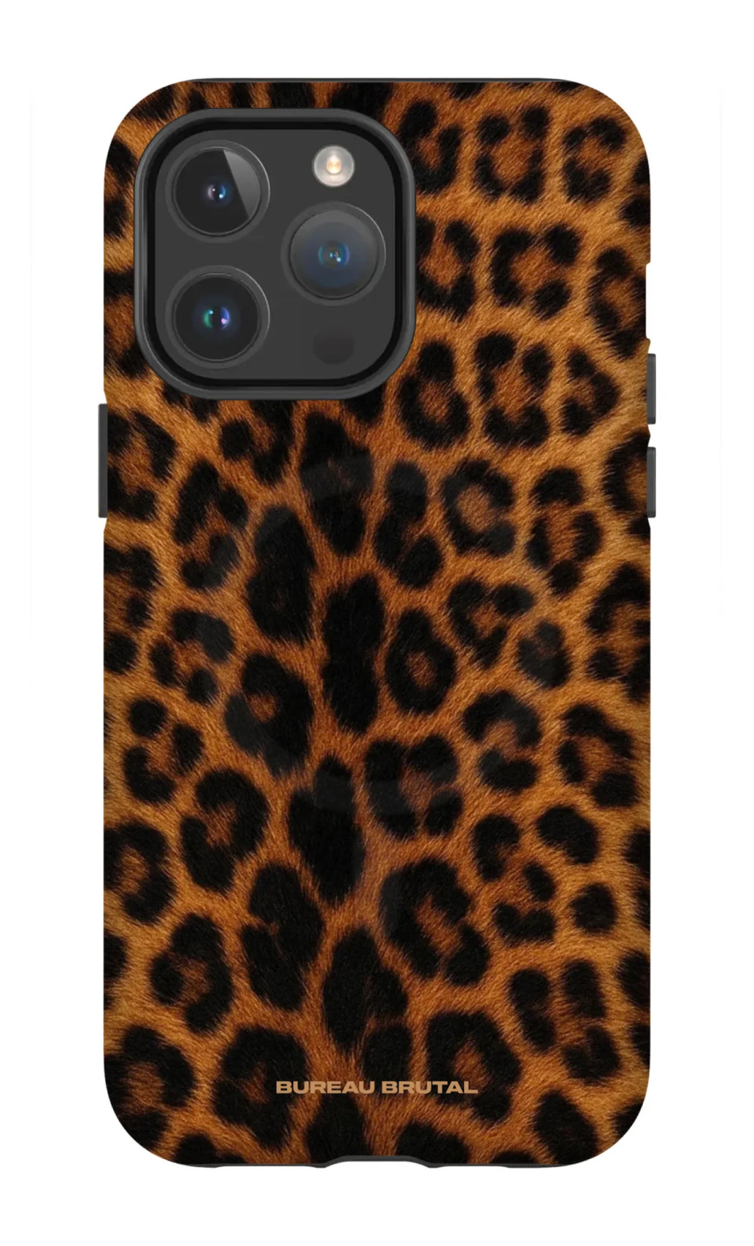 Namibian Leopard