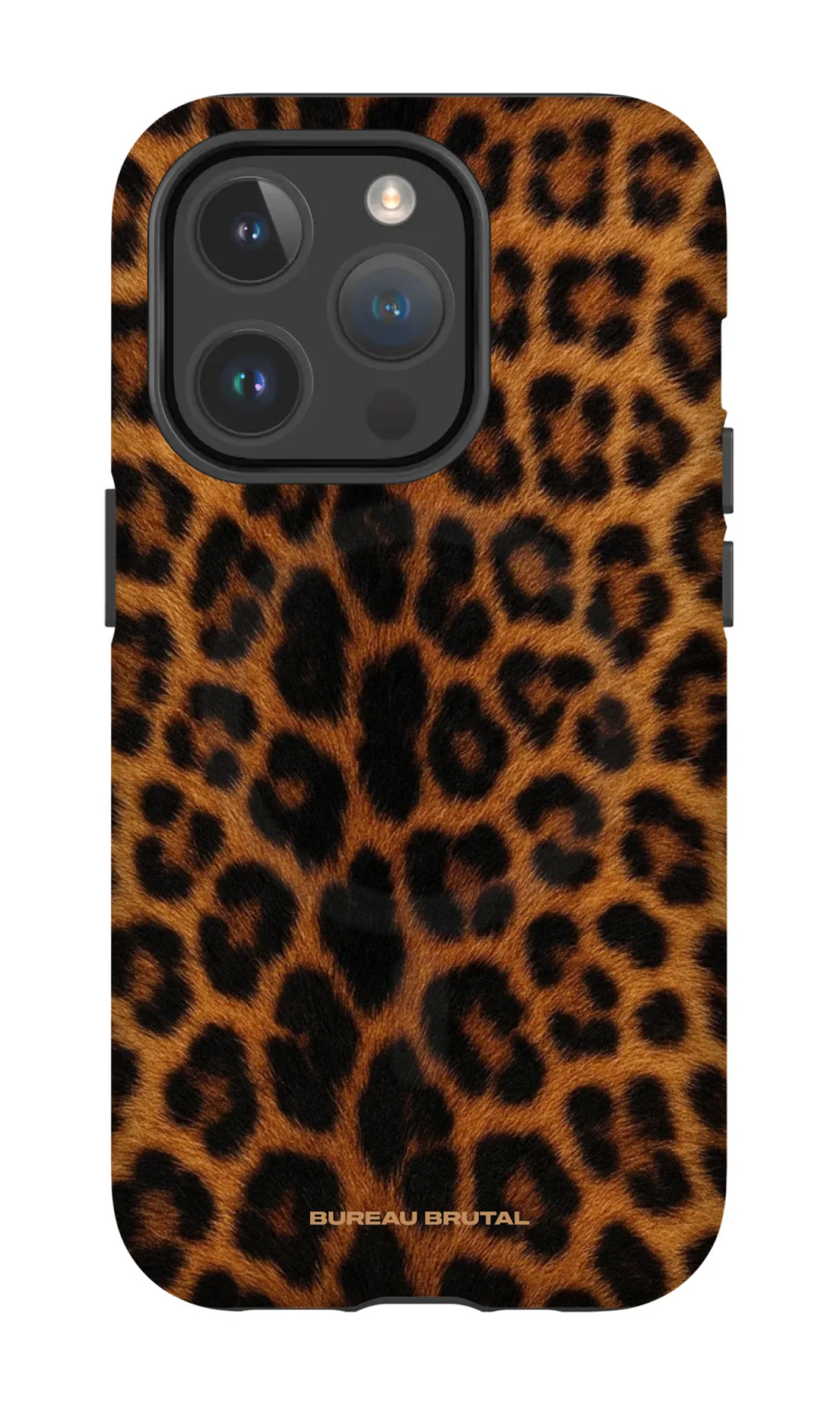 Namibian Leopard
