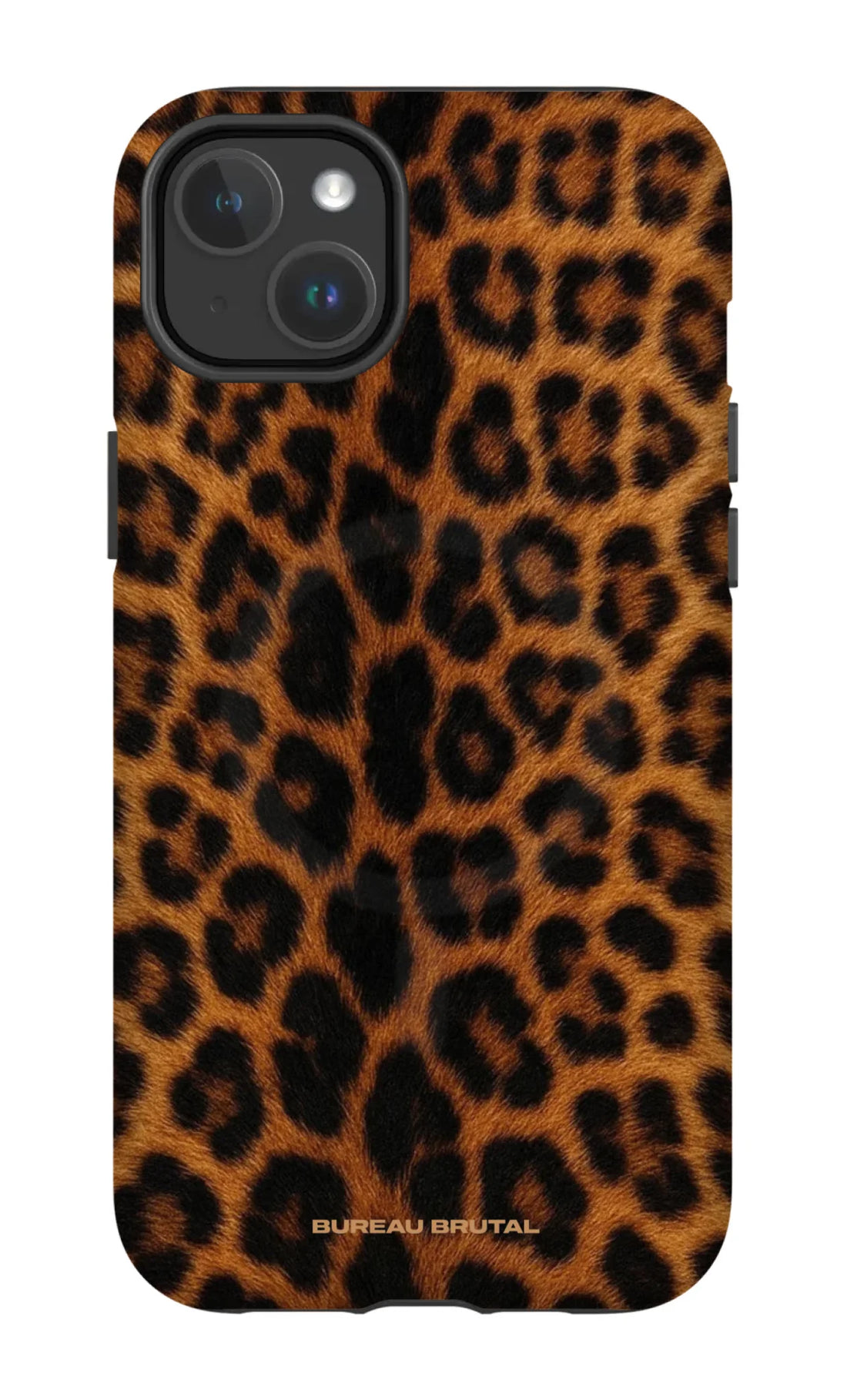 Namibian Leopard