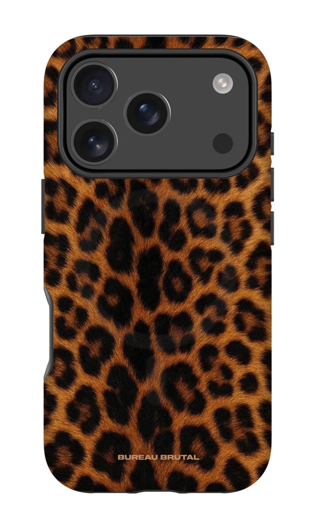 IP17-PRO-MS-TC