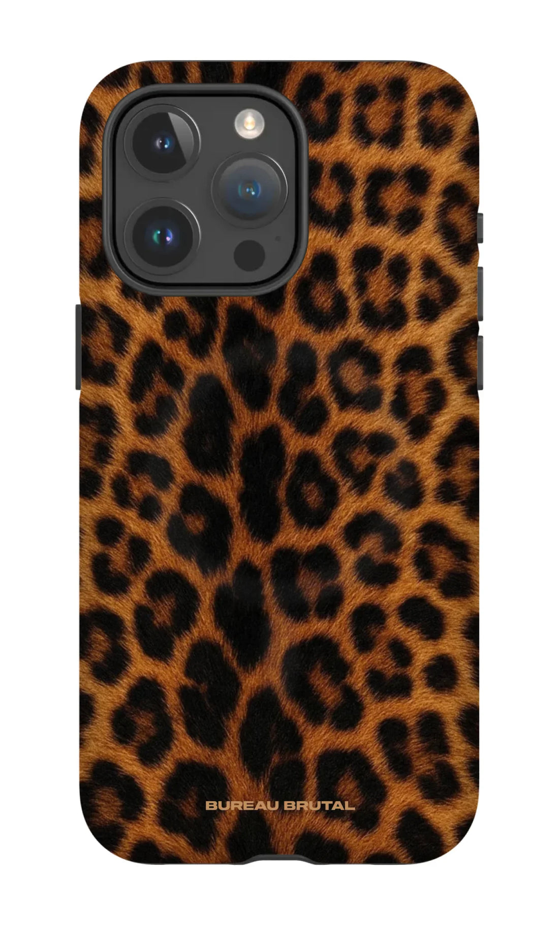 Namibian Leopard