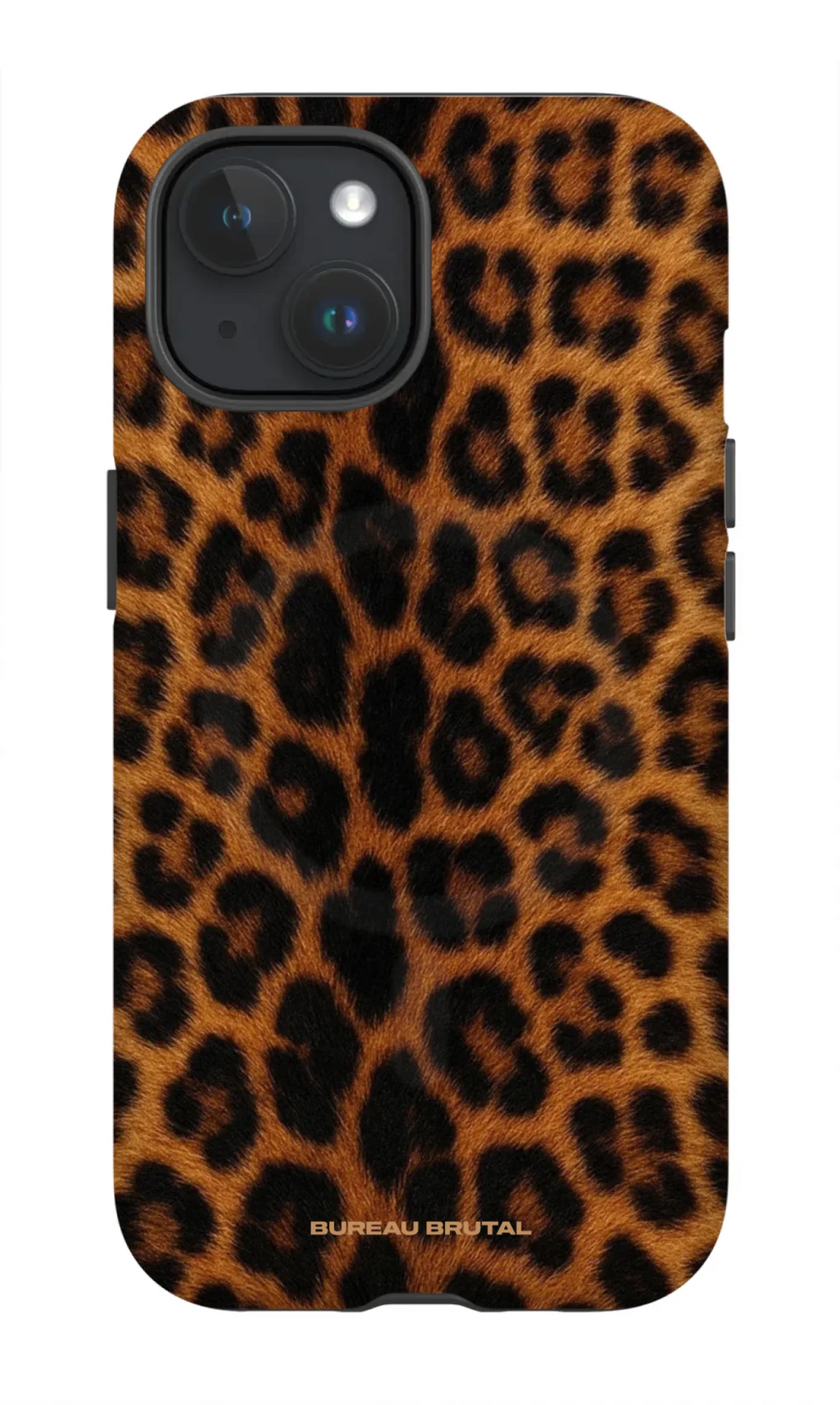Namibian Leopard