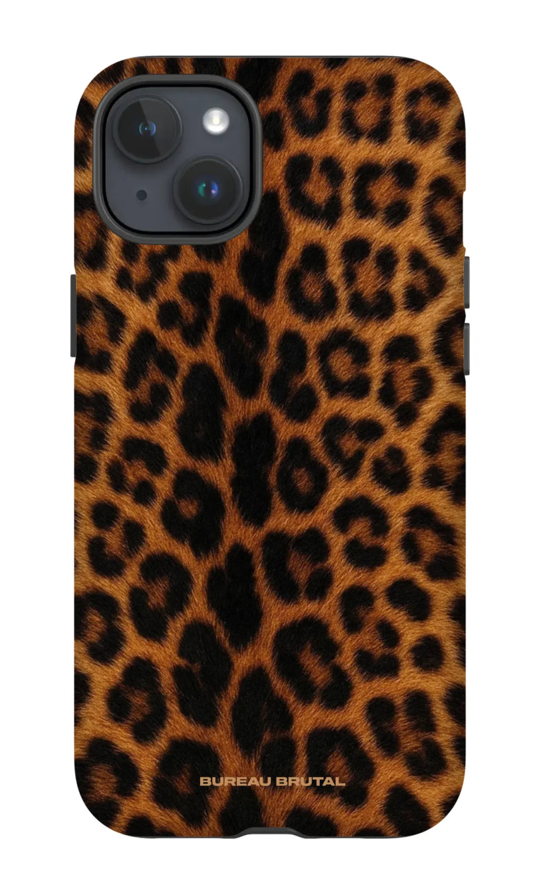 Namibian Leopard