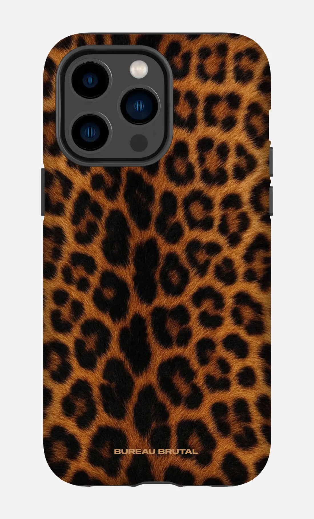 Namibian Leopard
