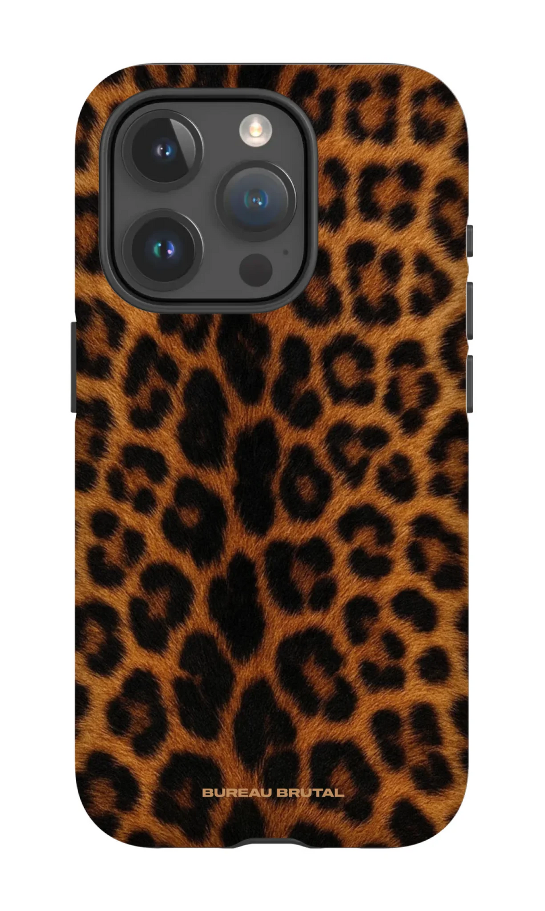 Namibian Leopard