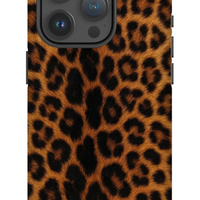 Namibian Leopard