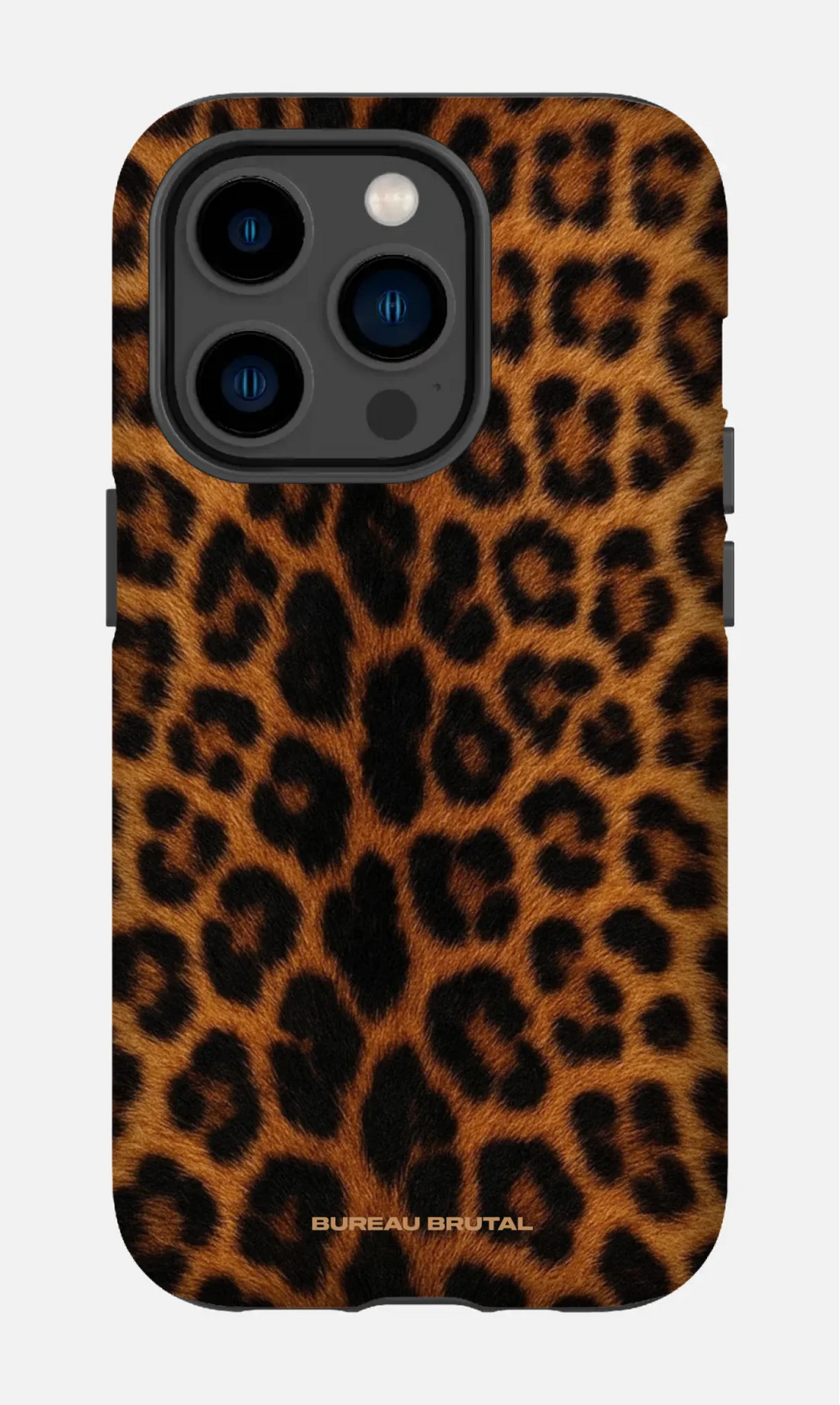 Namibian Leopard