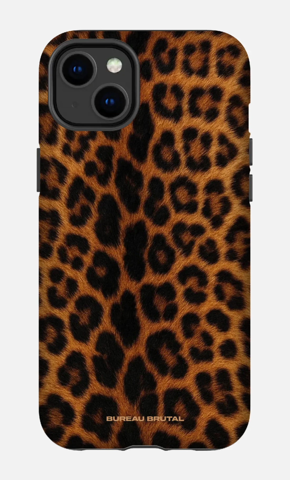 Namibian Leopard