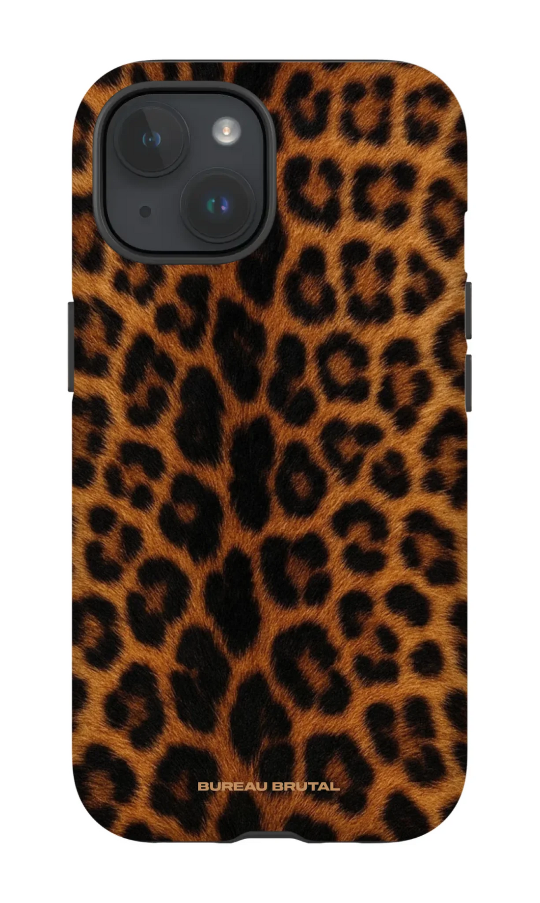 Namibian Leopard