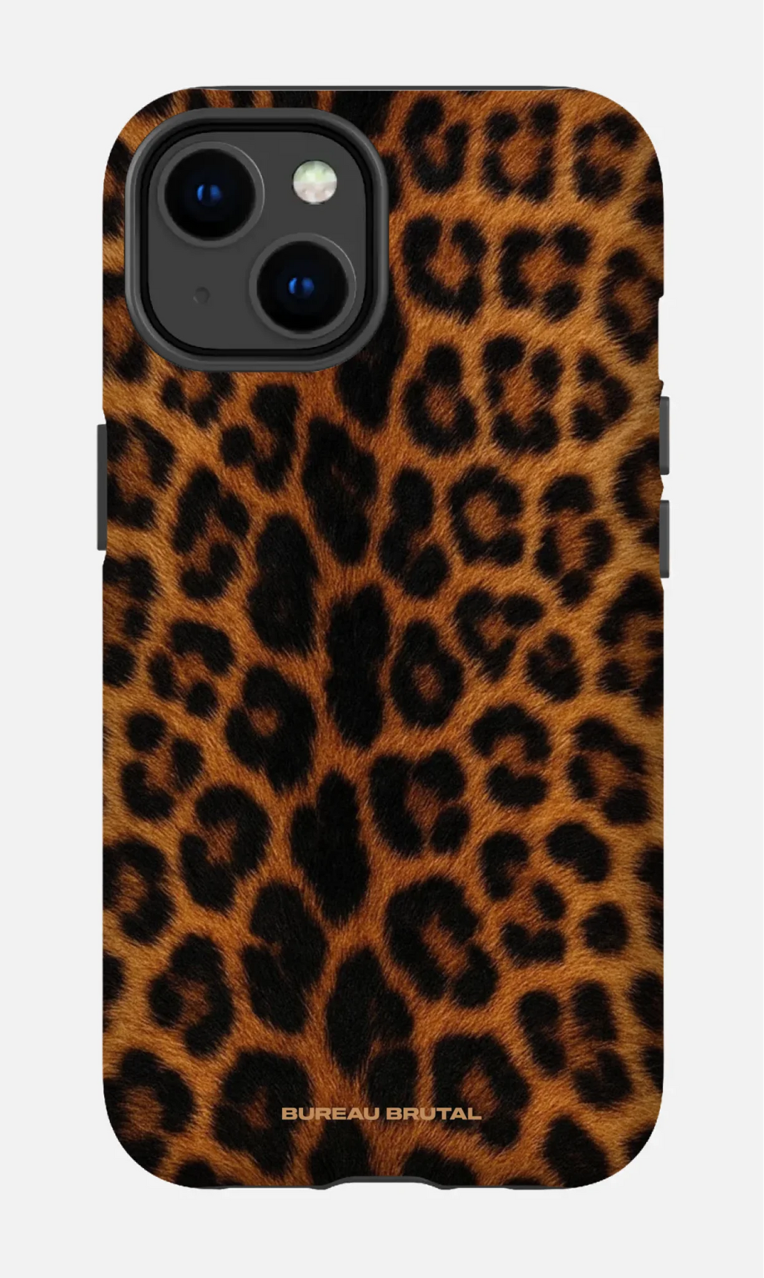 Namibian Leopard