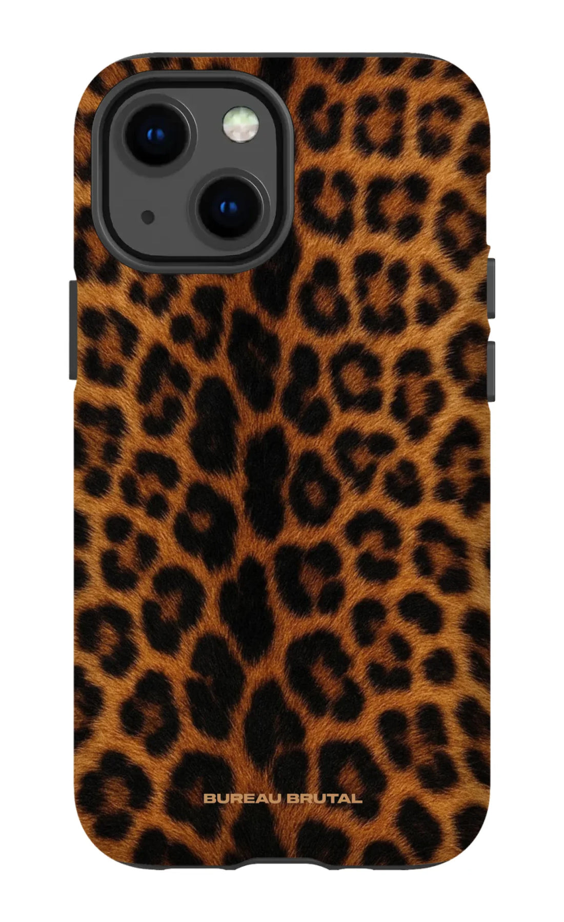 Namibian Leopard