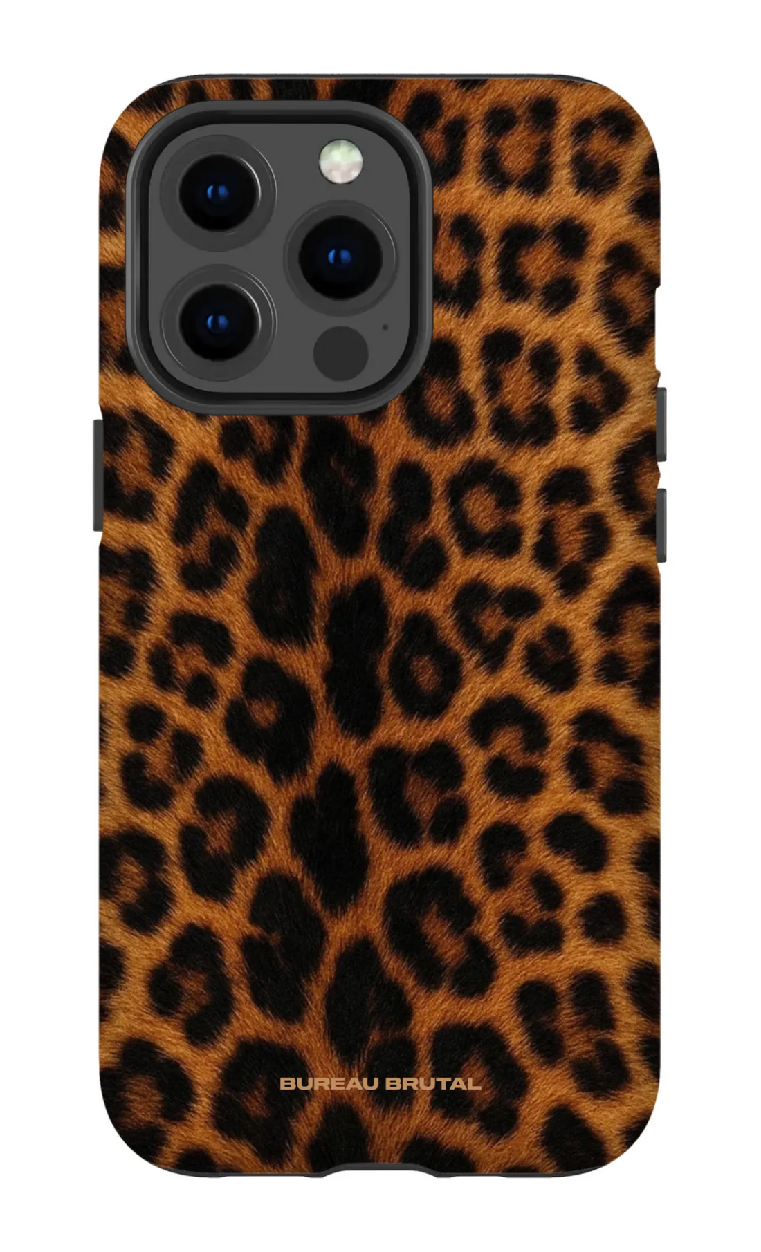 Namibian Leopard