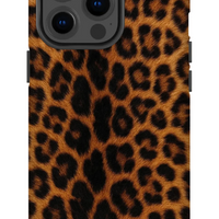 Namibian Leopard