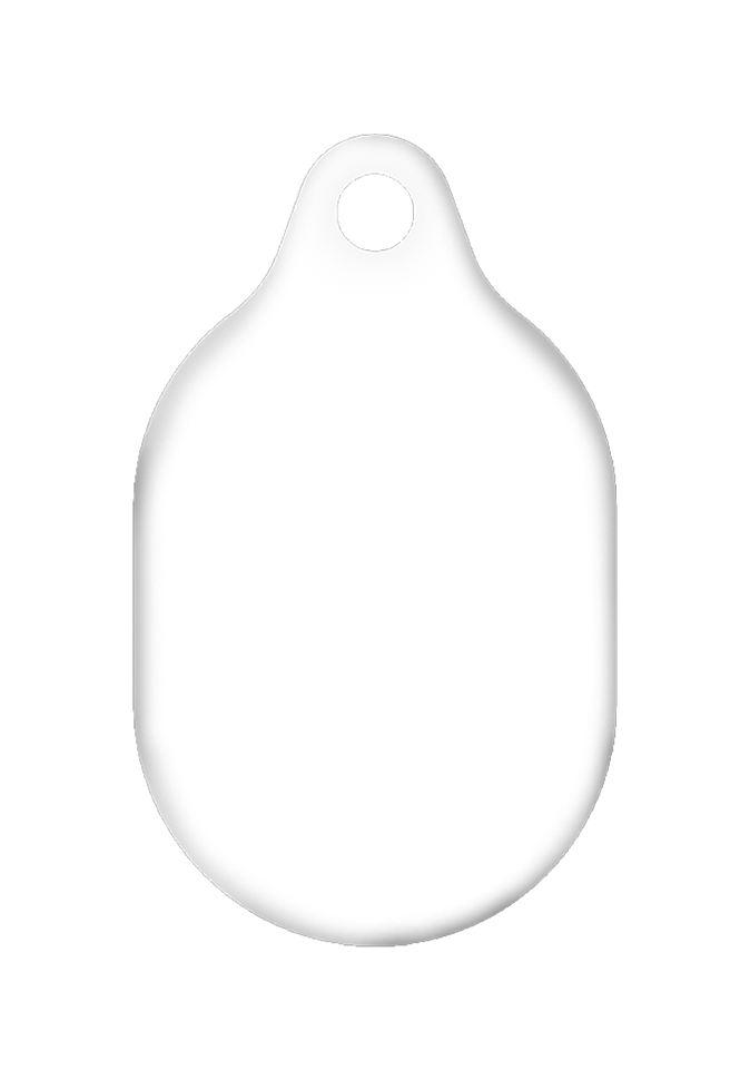 Airtag Keyring